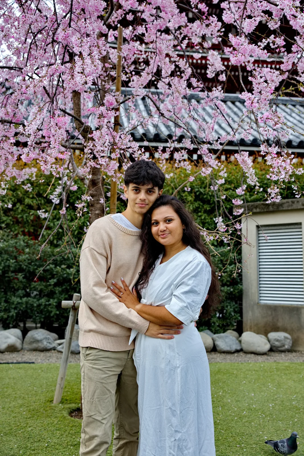 Emmy et Ethan sous les cerisiers en fleurs